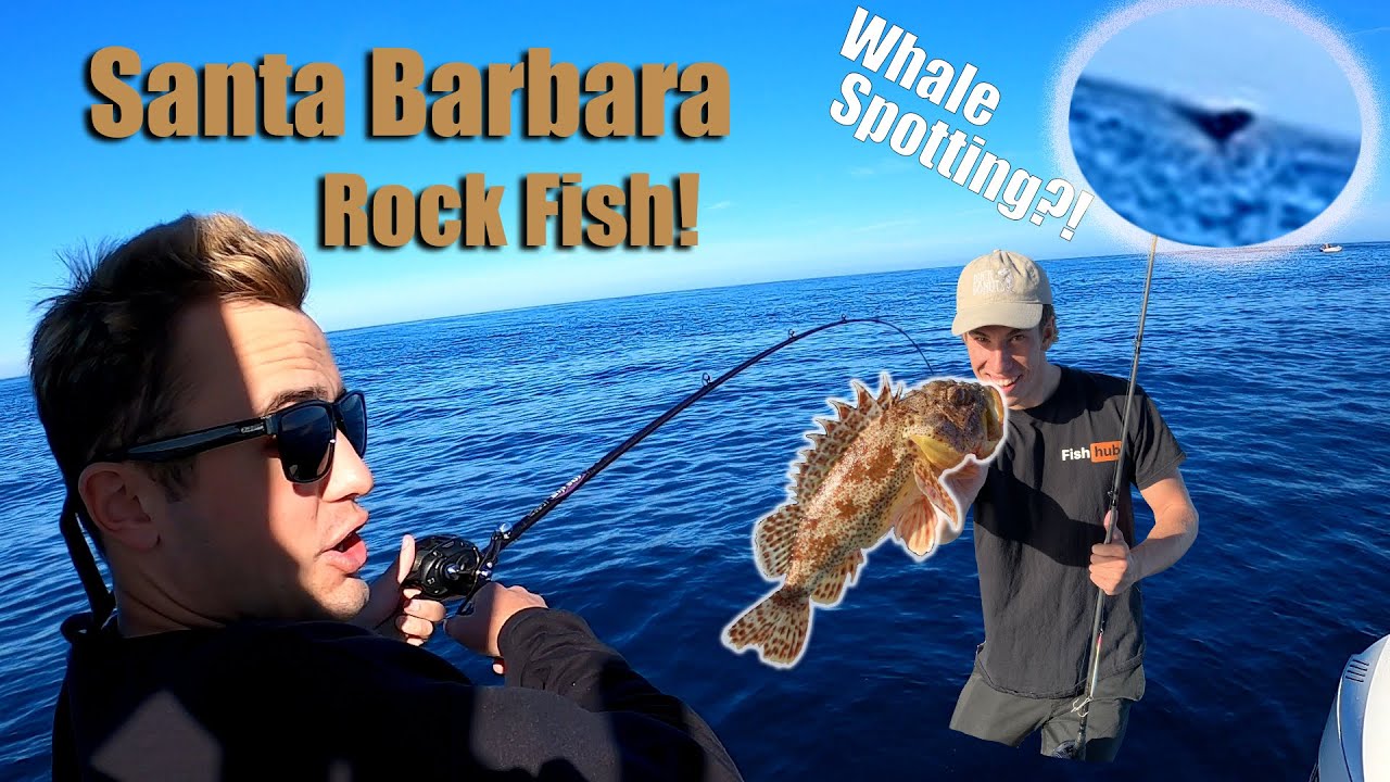 FISHING Channel Islands ROCKFISH JIGS ONLY YouTube