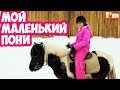 Маленький пони 🦄 катание на лошадях конный спорт