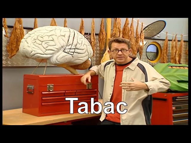 Comment la nicotine agit-elle sur le cerveau ? - C'est pas sorcier - YouTube