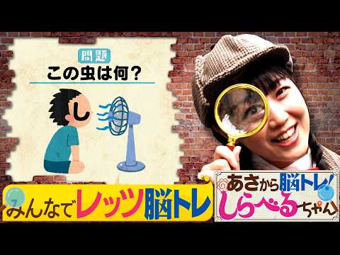 『あさから脳トレ！しらべるちゃん』【土曜のあさはほめるちゃん】2026/09/05放送