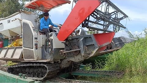 máy cắt 105 độ bánh 9 lên phà cắt lúa nhật với máy hai máy binh tập52 #maibangtv