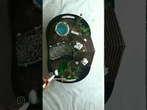 Miniature garden in a tray | #shorts