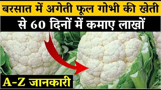 बरसात में अगेती फूल गोभी की वैज्ञानिक खेती से 60 दिनों में कमाए लाखों | Cauliflower Farming In India