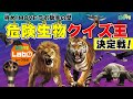 【超難問！危険生物クイズに挑戦してみよう】MOVEラボ研究員No.1決定戦！