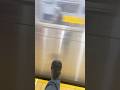 Riding the #mta #subway in #nyc #pleasehelp