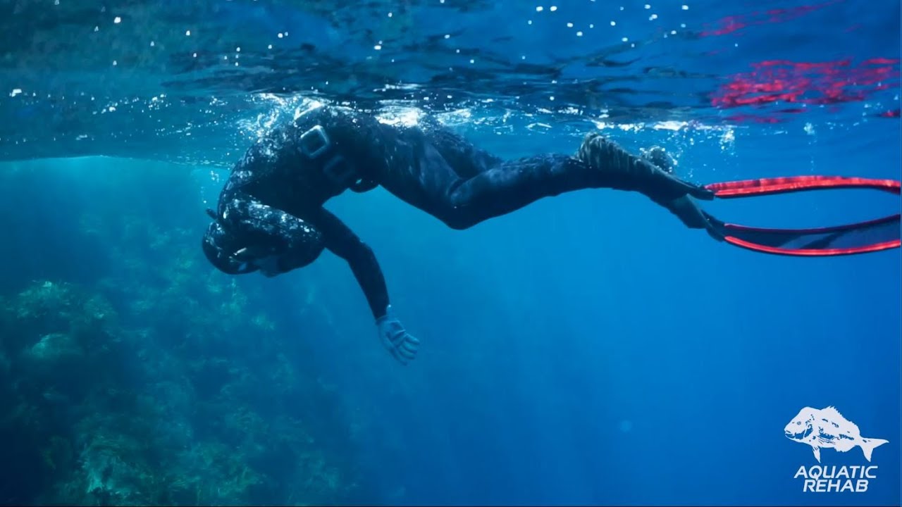 Volkner Rocks WHITE ISLAND NZ: Freediving with Golden Snapper at Volkner Rocks - YouTube