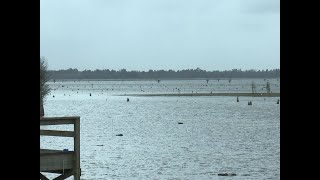 Man recalls near tragic summer on Lake Moultrie, warns of dangers