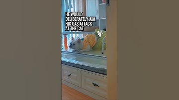 Turns Out, He Got Caught in His Own Trap