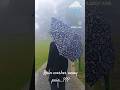 #rain#nature#mountains#history#heritage#letgo#song #shimla#love#viral #youtubeshorts