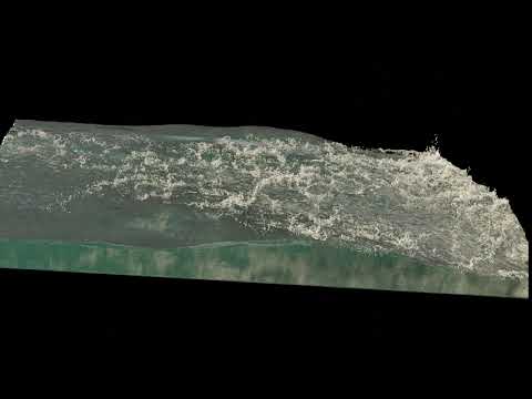 Mixamo/Flip Fluids test in Blender