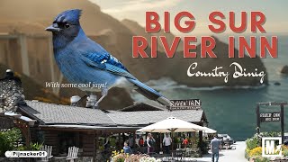 California PCH 1 - Big Sur River Inn Lunch with Steller’s Jays