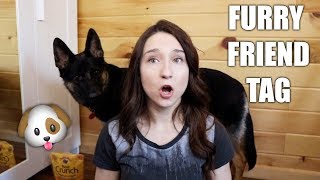 Furry Friend Tag Meet Scarlett My German Shepherd