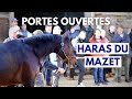 Portes ouvertes 2024 du haras du mazet le bestof