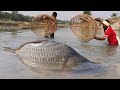 Traditional Boys Bamboo Tools Polo Fishing Trap in River | Amazing Polo Fish Hunting Video #fishing