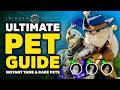 Crimson Desert Ultimate Pet Guide (How To Instant Tame, Pet Armor,  Rare Pets Tips &amp; Locations)