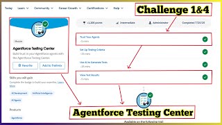 Agentforce Testing Center | Salesforce Trailhead | Challenge 1 & 4 Profile