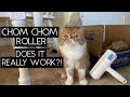 Testing the chom chom roller  sven and robbie