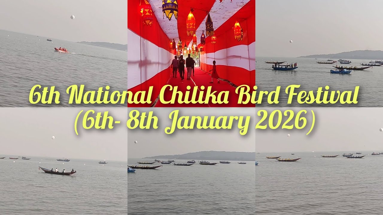 National Chilika Bird Festival 2026 Odisha | Bird Watching, Boat Race & Local Culture | 