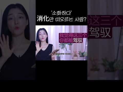 중국어로 &amp;#39;소화하다&amp;#39;하면 <strong>消</strong>化만 떠오르는 사람?