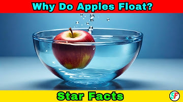 Why Do Apples Float? The Science Behind This Surprising Fact | Star Facts