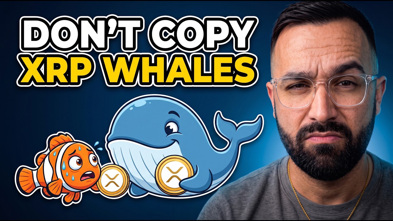 Video: XRP Whales Added 1.6 Billion XRP: What It Means for Holders