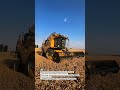 Titan Wheat Harvest Beast 🌾🚜 #CombineHarvester #WheatHarvest #AgriTech