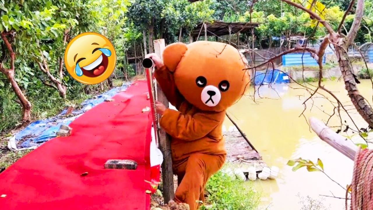 Funny Compilation From Troll Bears Can't Help Laughing  | Part39 