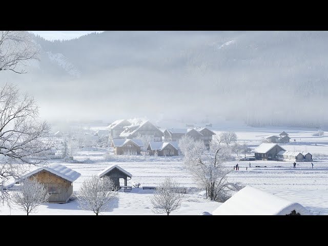 あの頃へ安全地帯