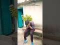 ab to koi majak bhi nahi karta | #comedy #comedy #entertainment #cartoon #prank #joke #shorts #jitu