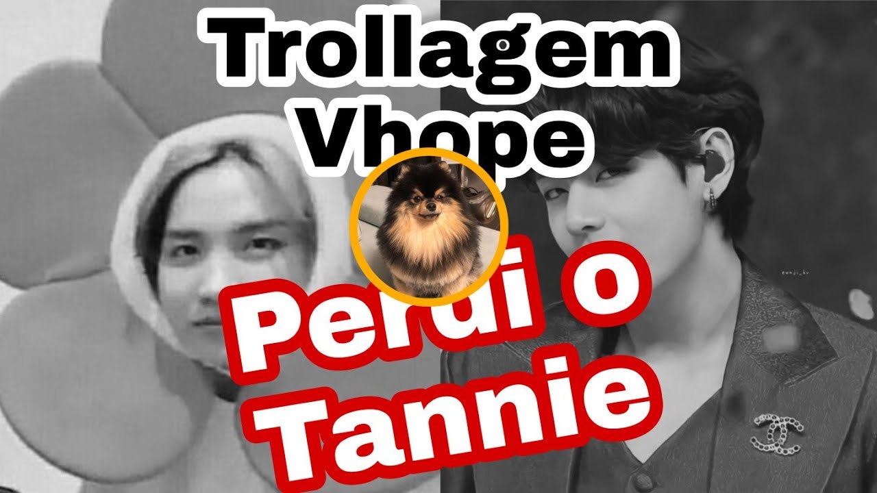 Trollagem Vhope - Perdi o Tannie🐶🐾