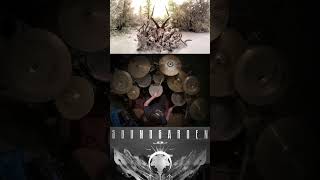 Bones of Birds 🥁 Soundgarden Drum Cover #drums #drummer #shorts