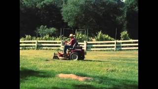 Uncle Sal Old-School Sunday