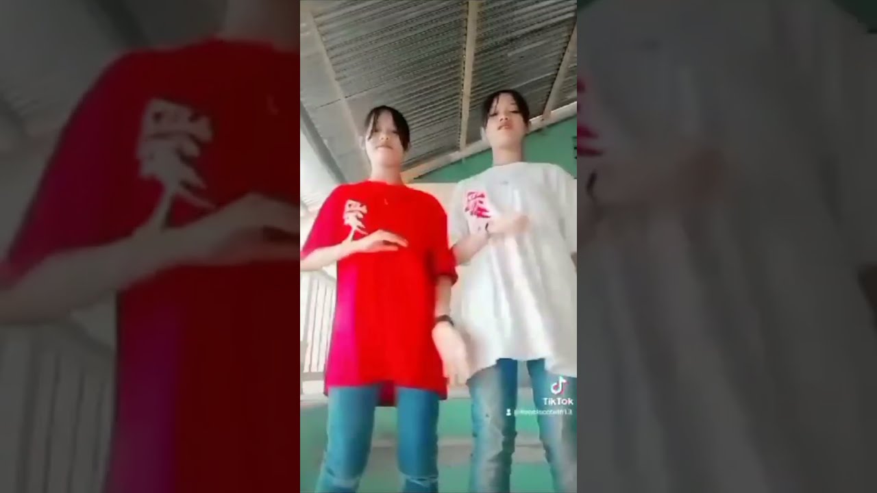  Ashley Andrea Twins