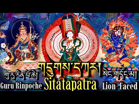 ☸Remove Obstacles-Guru Rinpoche, Sitatapatra & Lion-Faced Dakini Prayer|གུ་རུ་གདུགས་དཀར་སེང་གདོང་མ།