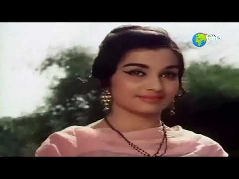 Pukarta Chala Hoon Main (HD) | Aqil Gulzari I Mere Sanam (1965) |
