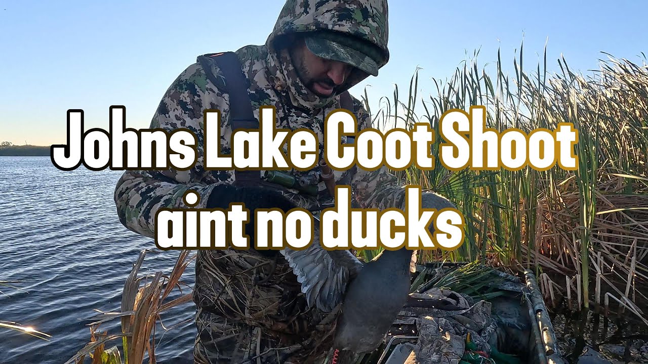 Охота на лысух на озере Джонс