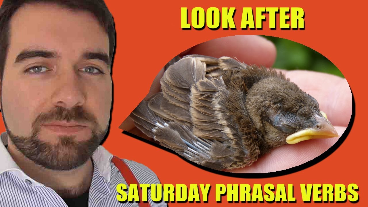 'Look After' English Phrasal Verbs - YouTube