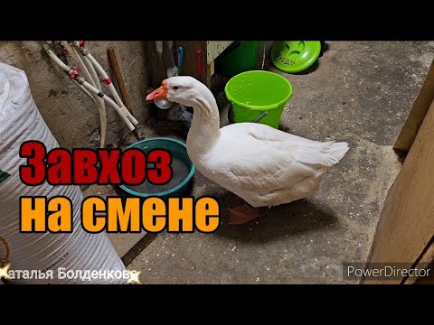 З кавою і гумором: Наталія Болденкова завоювала YouTube