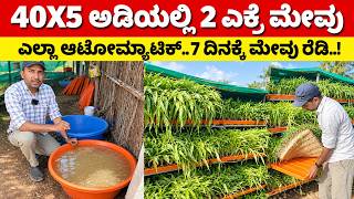 ಈ ಮೇವಿಗಾಗಿ ಹಸು ಕಾಯ್ತಿರ್ತವೆ | Dairy Sheep Poultry Farming | hydroponic fodder Krushi mevu #kannada