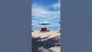 Berita hari ini Pantai KUTEU