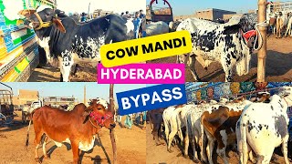 Do Bachron k Paise lagaye ajj or.... | Hyderabad Bypass Mandi | Cow Mandi Video | Ramzanis