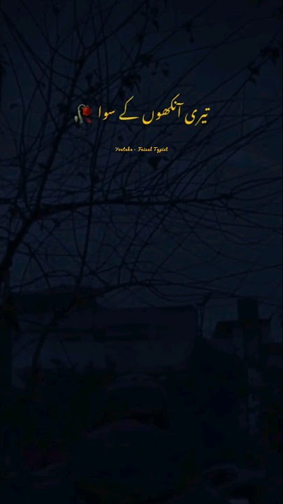 Teri Ankho Ke Sifa Duniya Mai Rakha Kya Hai 🥺❤️ || Deeplines || Urdu Poetry || Whatsapp Status