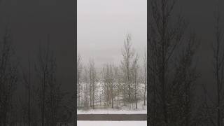 White Christmas in May (May 16, 2026)