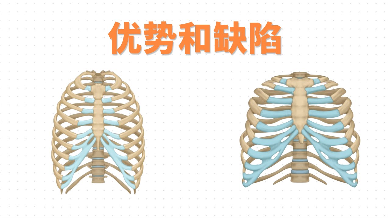 天生骨架结构，带来的运动优势以及「缺陷」丨公众号同名