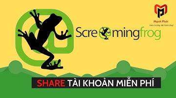 Hướng dẫn sử dụng Công cụ kiểm tra ONPAGE Tool Screaming Frog SEO Spider 2024 | MC Marketing