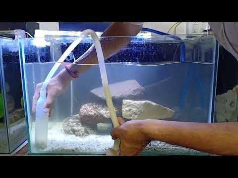 HOW TO CLEAN AQUARIUM IN HINDI