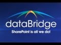 Databridge small business intranet  sharepoint is all we do