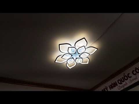 Video: Và Yên Tĩnh Và Nhẹ Nhàng! Tấm Trần Cách âm âm Trần Soundlight Comfort Với đèn LED Tích Hợp