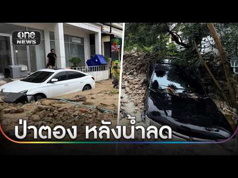 เปิดภาพความเสียหายป่าตองโคลนทะลักแม้น้ำลด | ข่าวเย็นช่องวัน | สำนักข่าววันนิวส์