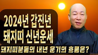 [ 2024년 갑진년 돼지띠 신년운세 ][영점, 신점] [사주,문서운,연애운,풍수지리,사주팔자] [산신국사]…